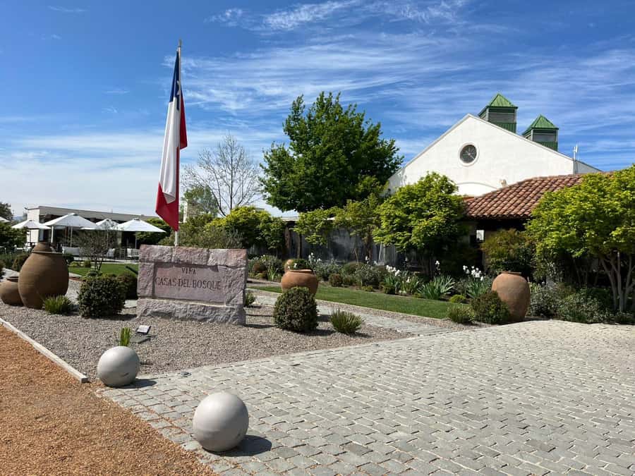 Valparaíso to Casablanca: wine tour with premium tasting and transportation - Small group of 8: better questions, less waiting