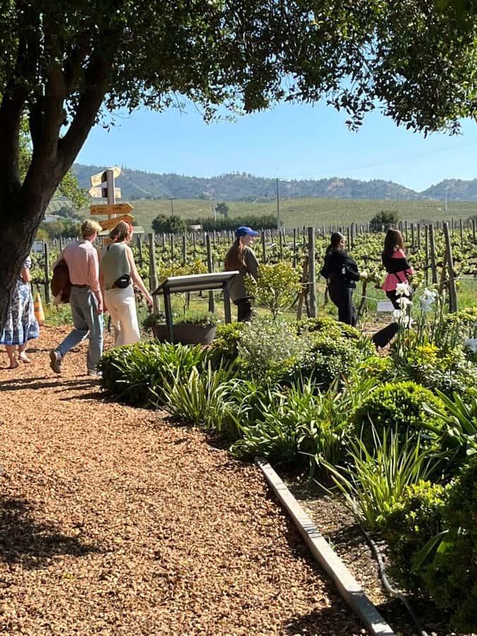 Valparaíso to Casablanca: wine tour with premium tasting and transportation - Who this Casablanca wine outing fits best