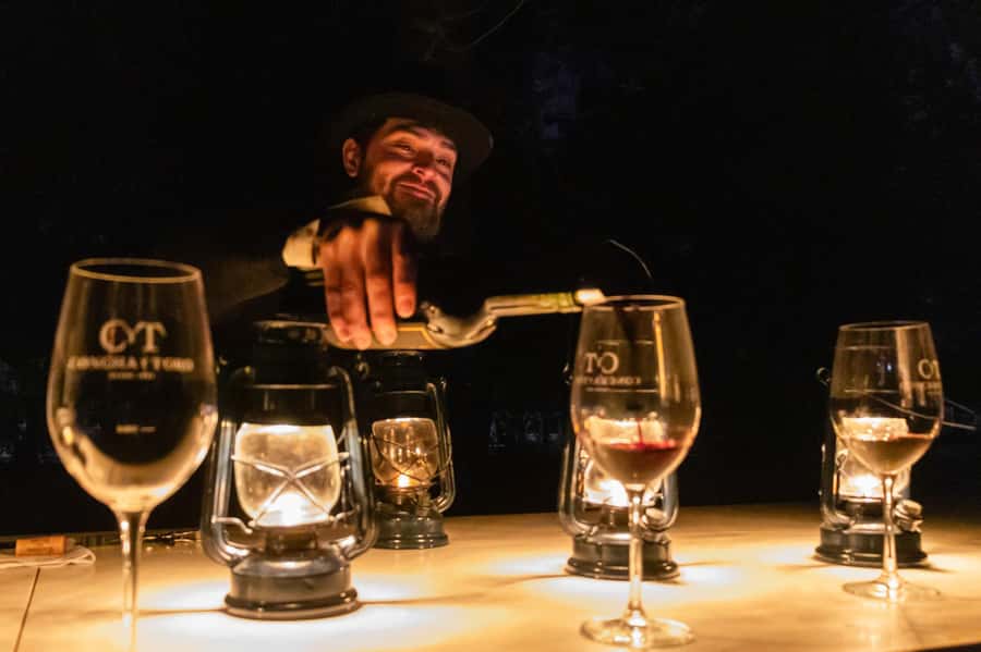 Viña Concha y Toro Nighttime: Dinner Show - Inside the Casillero del Diablo cellar, where the mood shifts