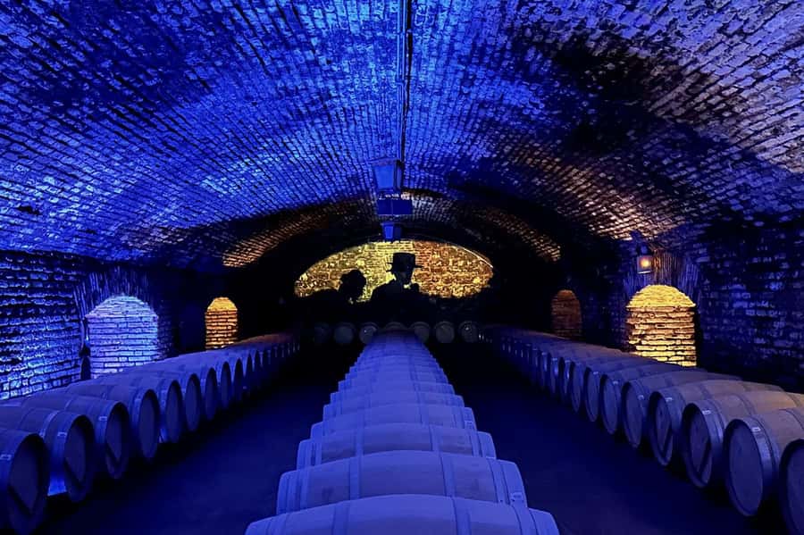 Viña Concha y Toro Nighttime: Dinner Show - The Concha y Toro Wine Bar dinner: three courses with two more glasses