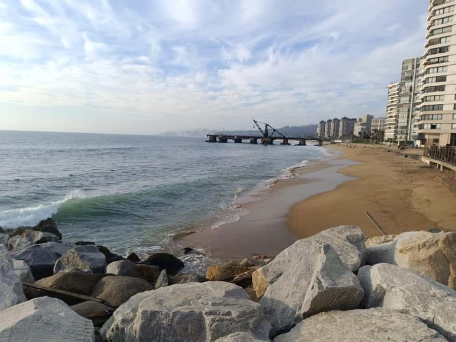 Viña del Mar: Guided city tour - Guides make the difference, and this one seems to