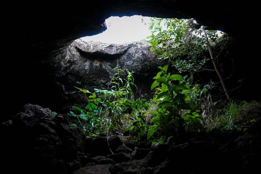 Volcanic Refuges: Excursion to Underground Civilization - Who should book this cave tour on Rapa Nui