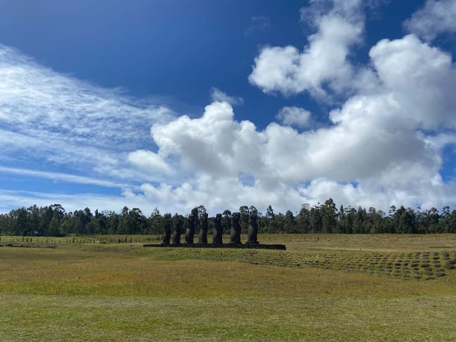 Volcanic Refuges: Excursion to Underground Civilization - Ana Te Pahu: where the cave-home story and rock art take center stage
