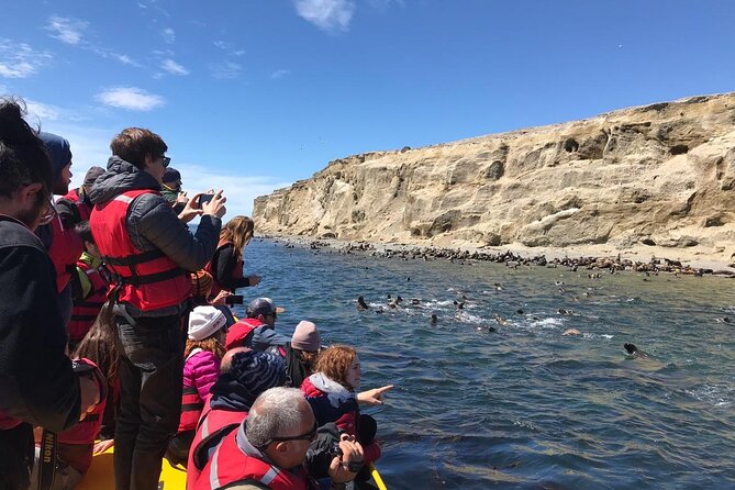 Walk alongside Penguins on Magdalene Island and navigate Marta Island - Punta Arenas Pickup and the 6:30 am Reality Check