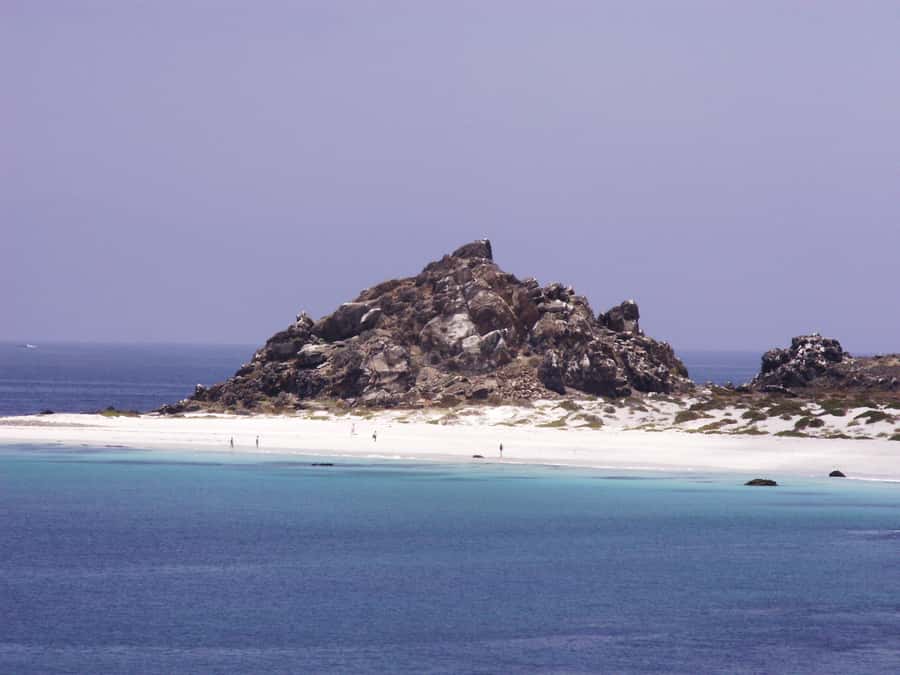 Whales & Humboldt Penguins: Chañaral or Damas island hiking - La Serena pickup to Punta Teatinos, quick stops, big setting