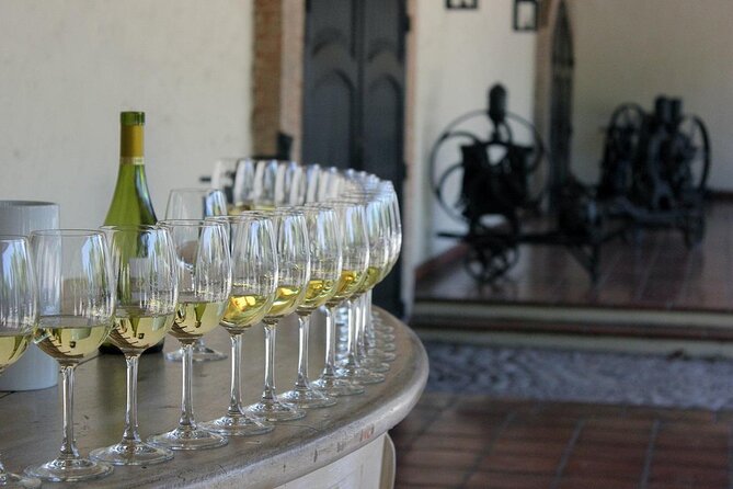 Wine wonders at Concha y Toro premium tour - Key Points to Know Before You Go